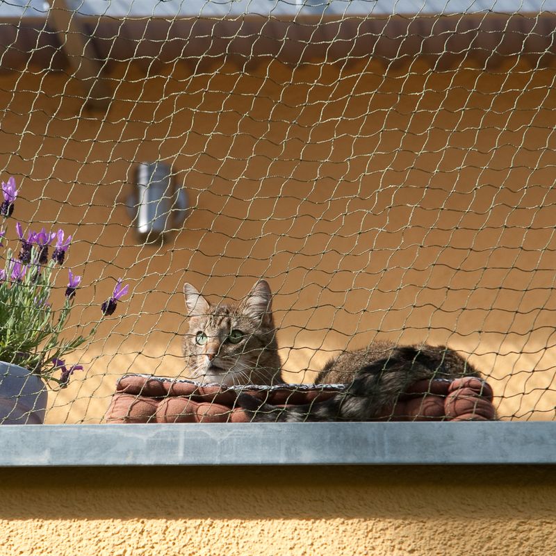 Katzenschutznetz mit Drahtverstärkung zu TOP-Preisen | bitiba %