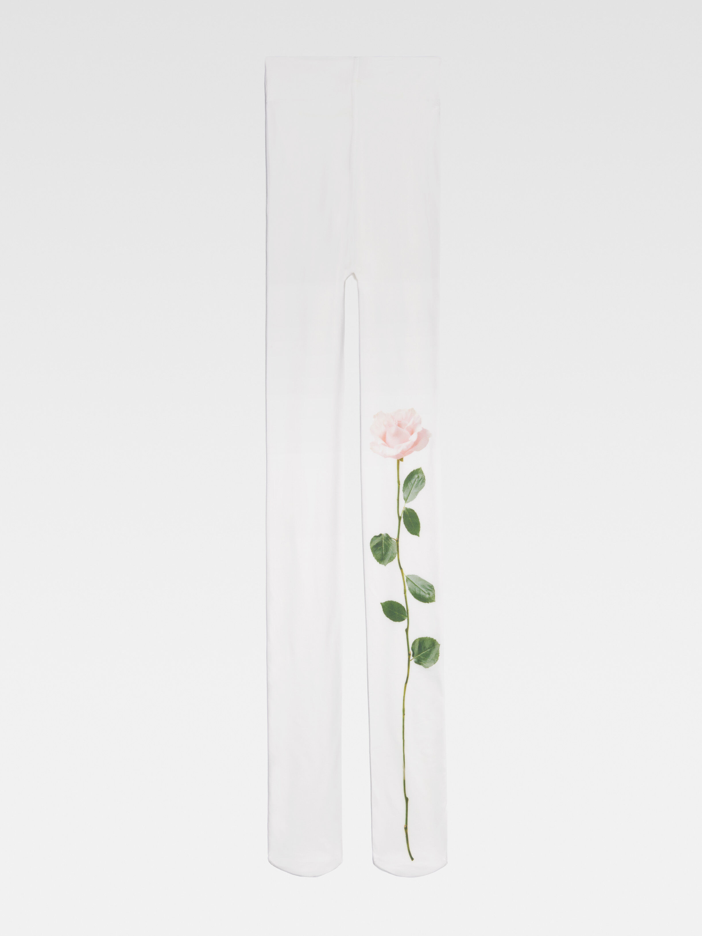 Les collants Rosa