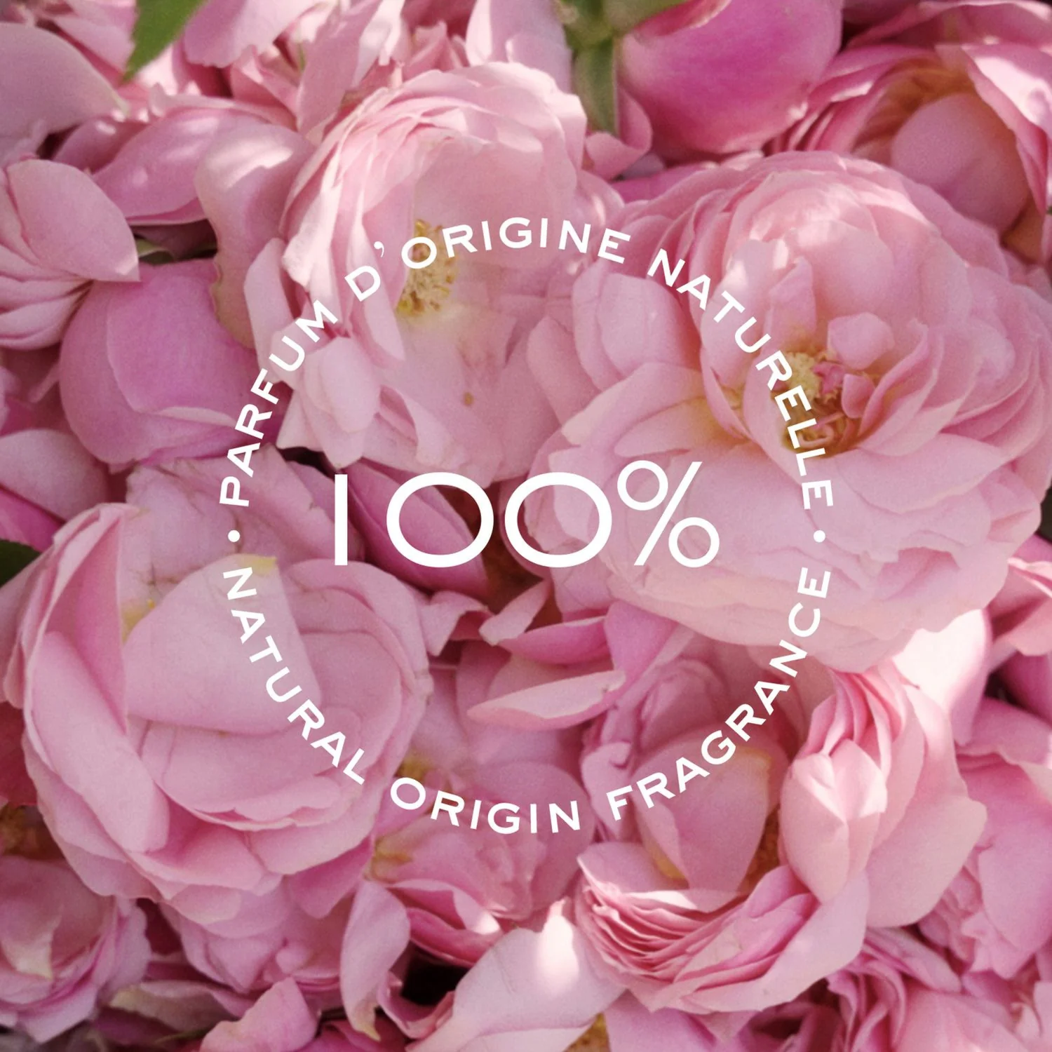 Chloé Rose Naturelle - Eau de Parfum