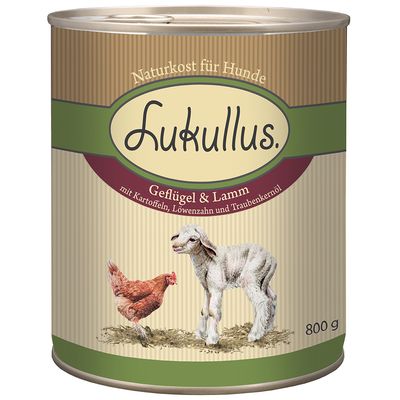 Sparpaket Lupo Sensitiv + Lukullus Geflügel & Lamm Nassfutter