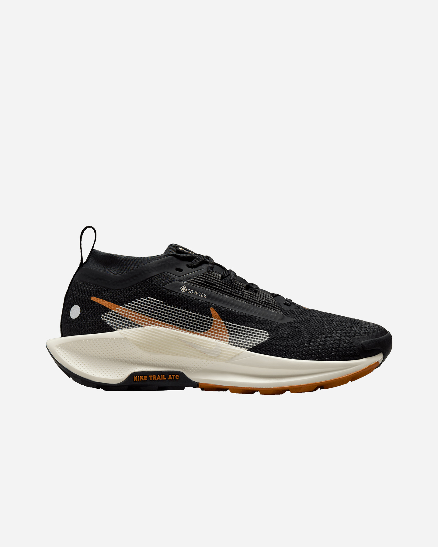 Chaussures de trail Nike Pegasus Trail 5 Gore Tex W FQ0912-005