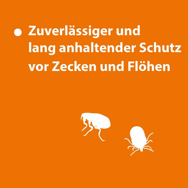 Ardap Floh- & Zeckenmittel Ardap Zecken- & Floh-Halsband für Hunde M
