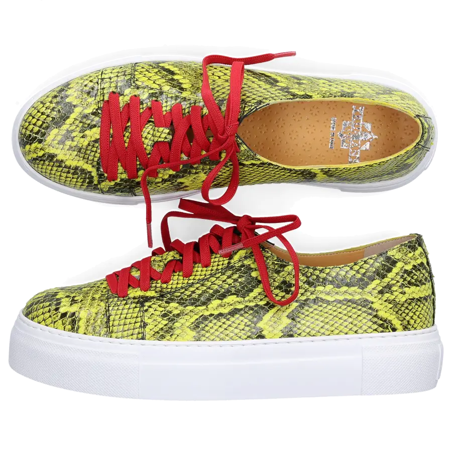 Truman's - Sneaker low 9121 Kalbsleder Print grün - grün