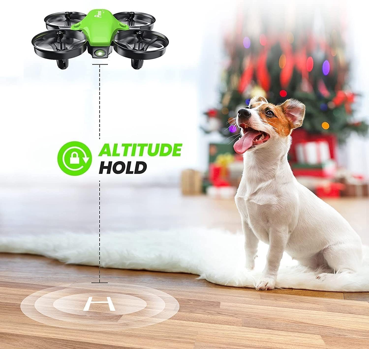 Potensic Drohne (Quadrocopter, Mini Drone mit Höhenhaltemodus, Start/Landung mit einem)