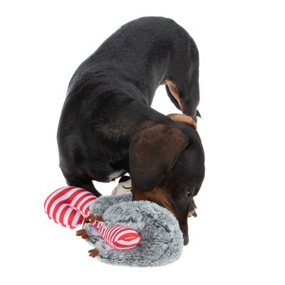 Hundespielzeug Candy Sloth