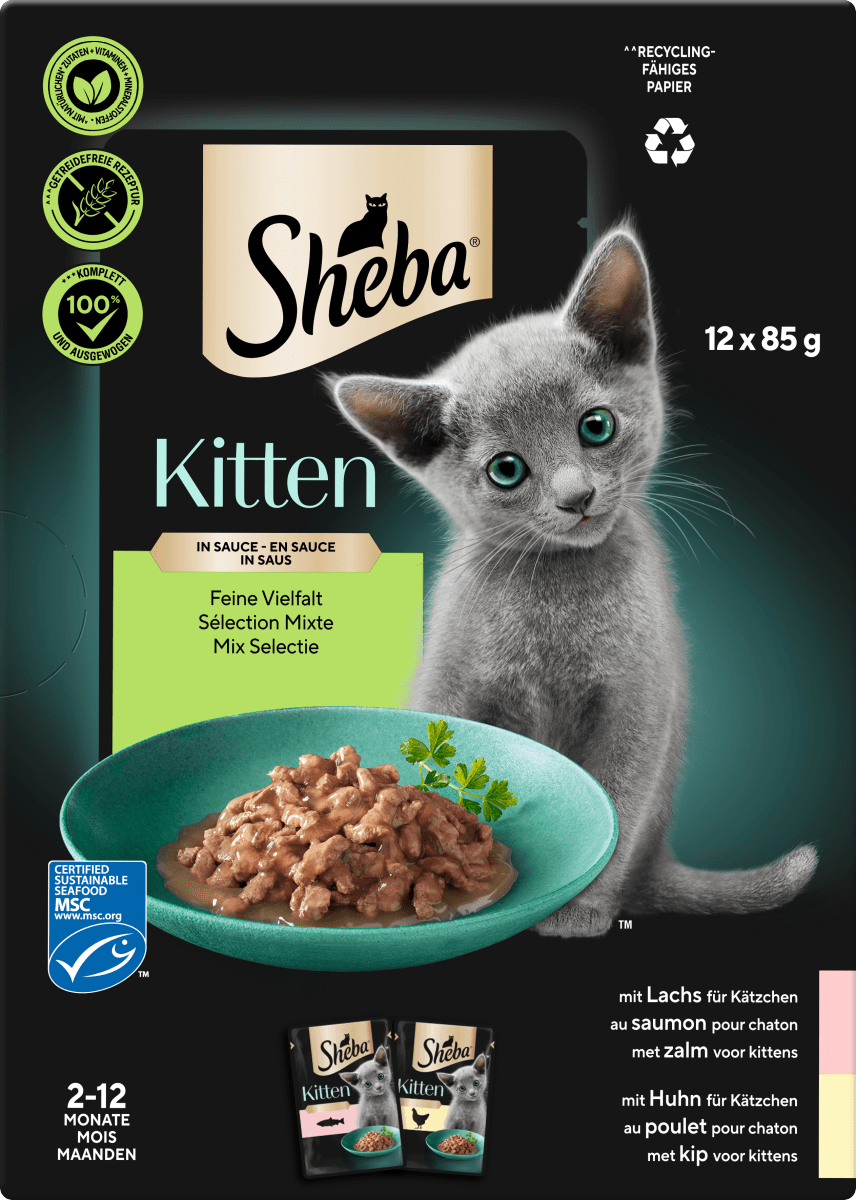 Nassfutter Katze Kitten mit Lachs & Huhn, feine Vielfalt in Sauce, Junior Multipack (12x85 g), 1,02 kg