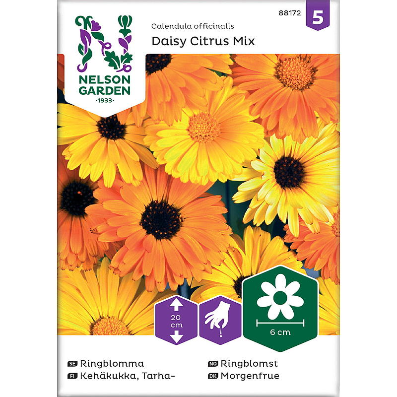 Nelson garden Frø Ringblomst Daisy Citrus mix