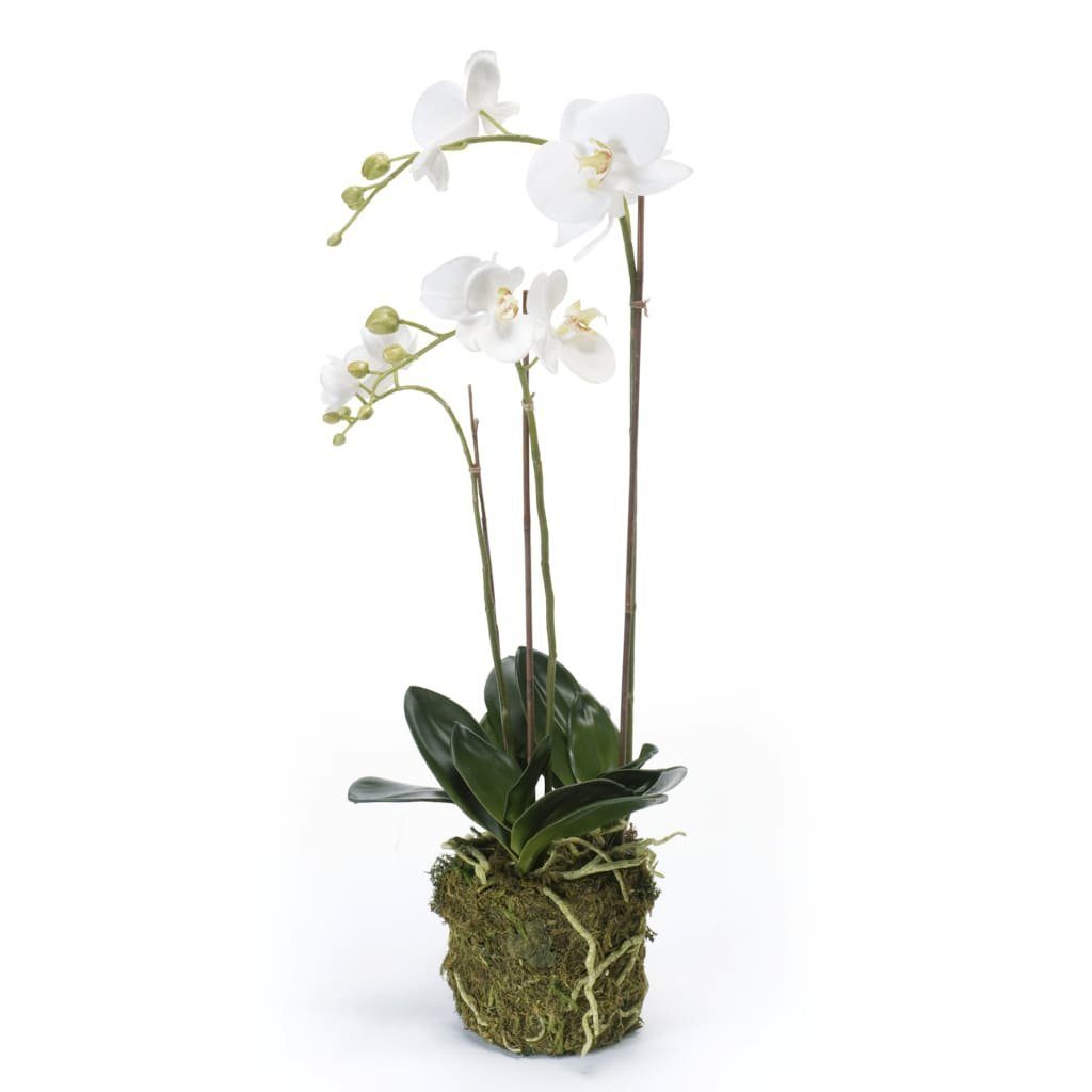 Kunstrasen Künstliche Phalaenopsis-Orchidee Weiß 70 cm, Emerald, Höhe: 70 mm