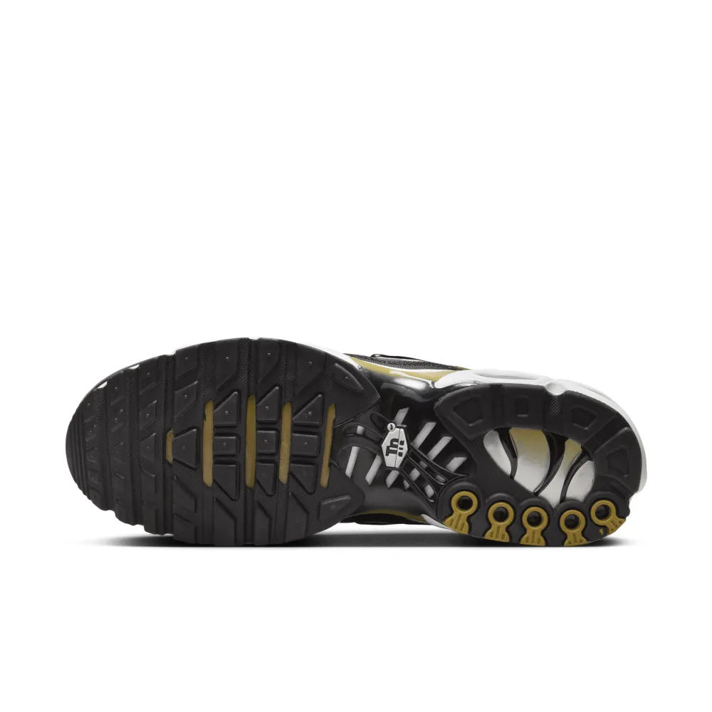 Nike Air Max Plus DM0032-700 / braun