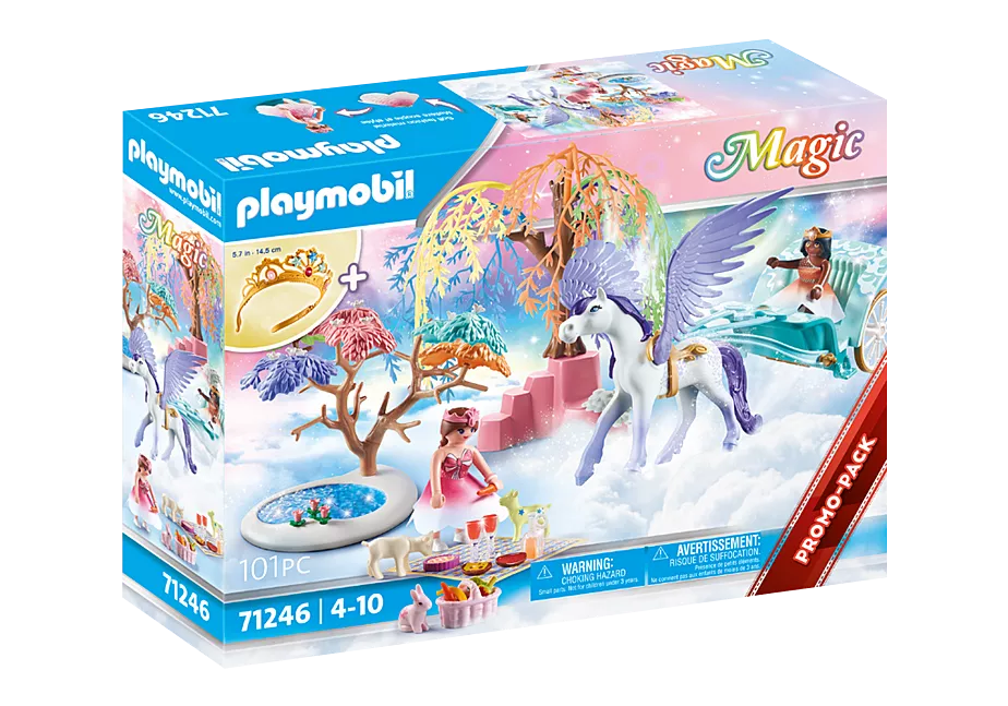 Picknick mit Pegasuskutsche