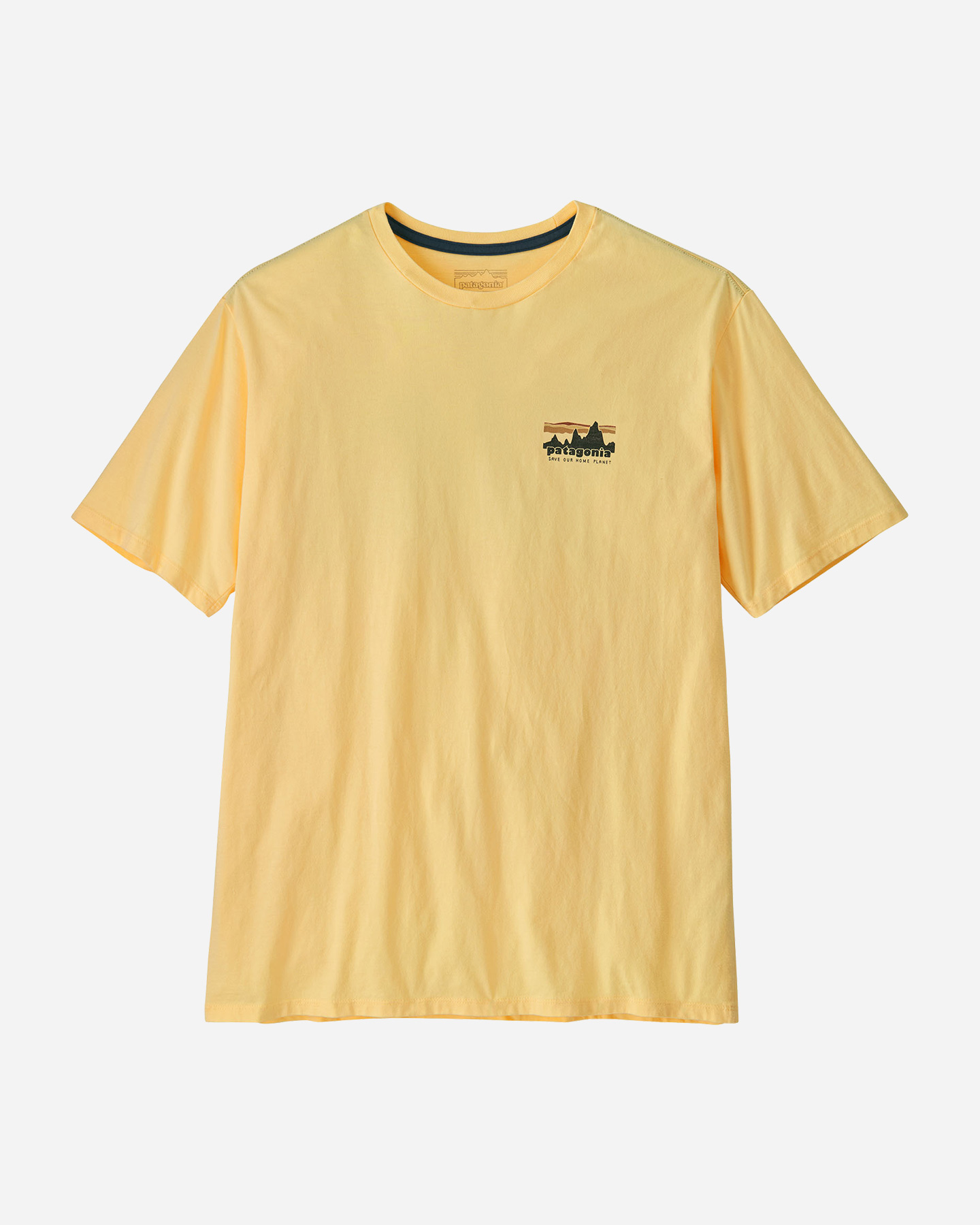 Koszulka Patagonia 73 Skyline Organic M 37534-BTRY