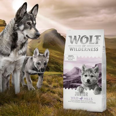 Wolf of Wilderness Junior 