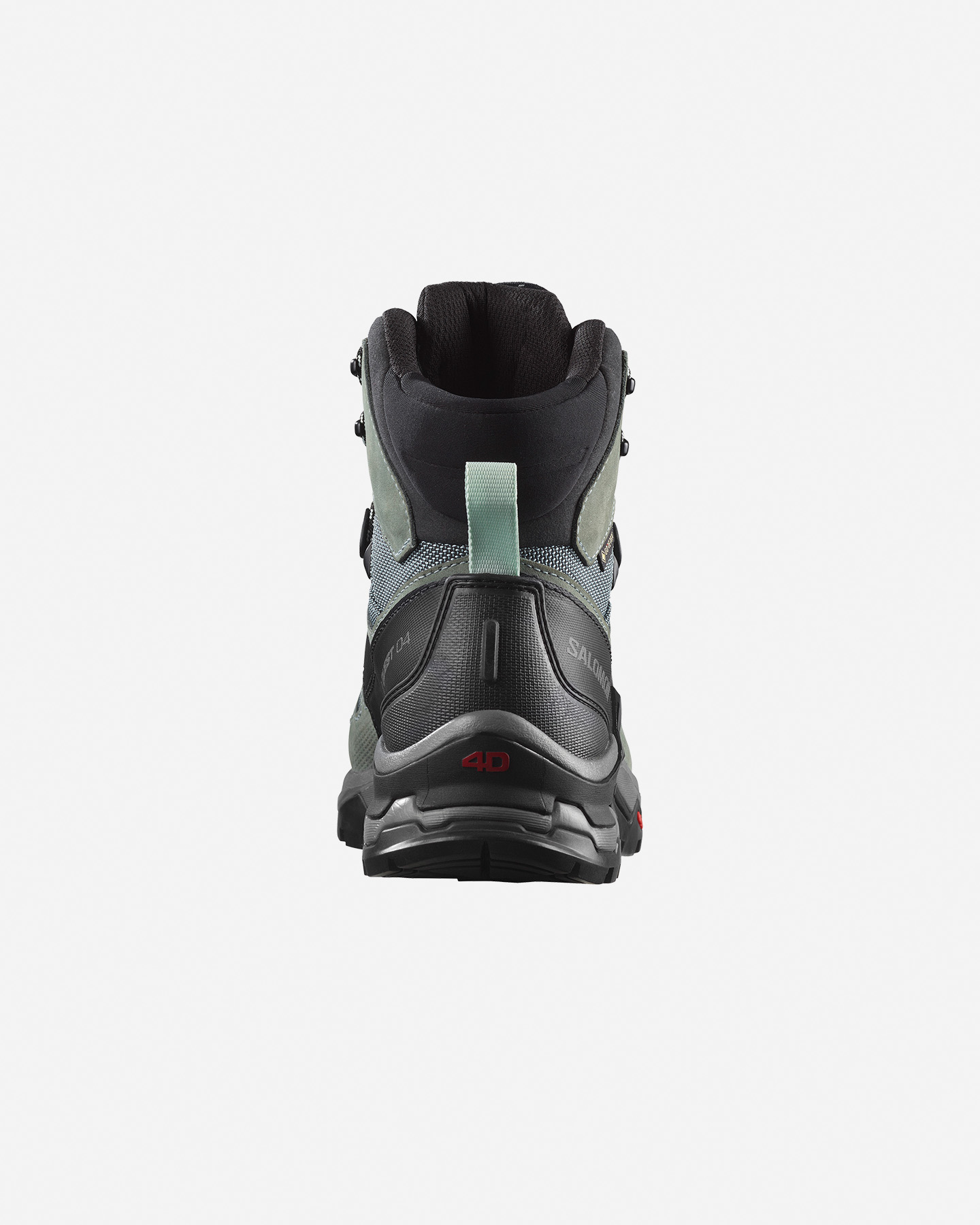 Alpine Topánky Salomon Quest 4 Gtx W L41387000