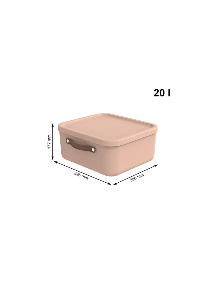 Rotho 2er-Set Kiste mit Deckel Maloja 20l in Meadow rose günstig kaufen onesize