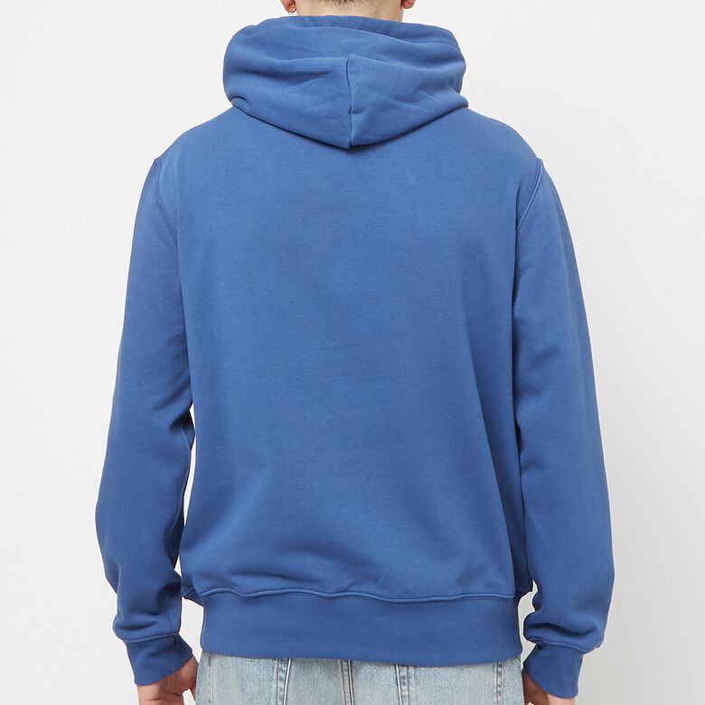 Polo Ralph Lauren Bear Fleece Hoodie beach royal blue