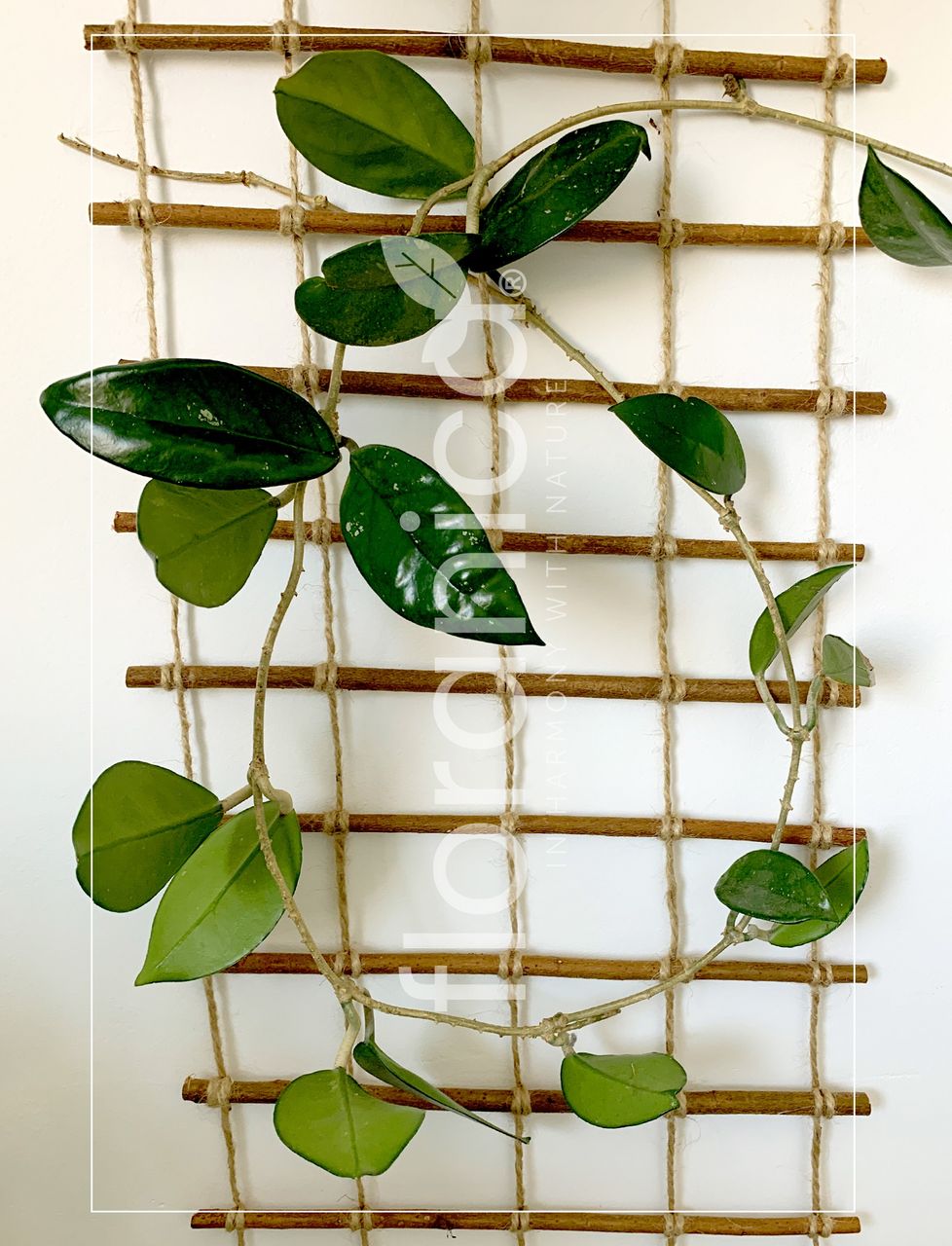 Pemicont Floranica Rankhilfe Rankgitter für Kletterpflanzen Länge 150cm Breite 30cm Naturweide Ökologische Schnur und Jutesack Stütze für Rosen Kletterpflanzen Gemüse Reben