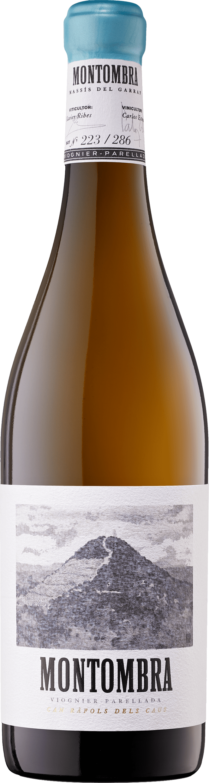 Can Rafols dels Caus: Montombra Viognier Parellada 2019