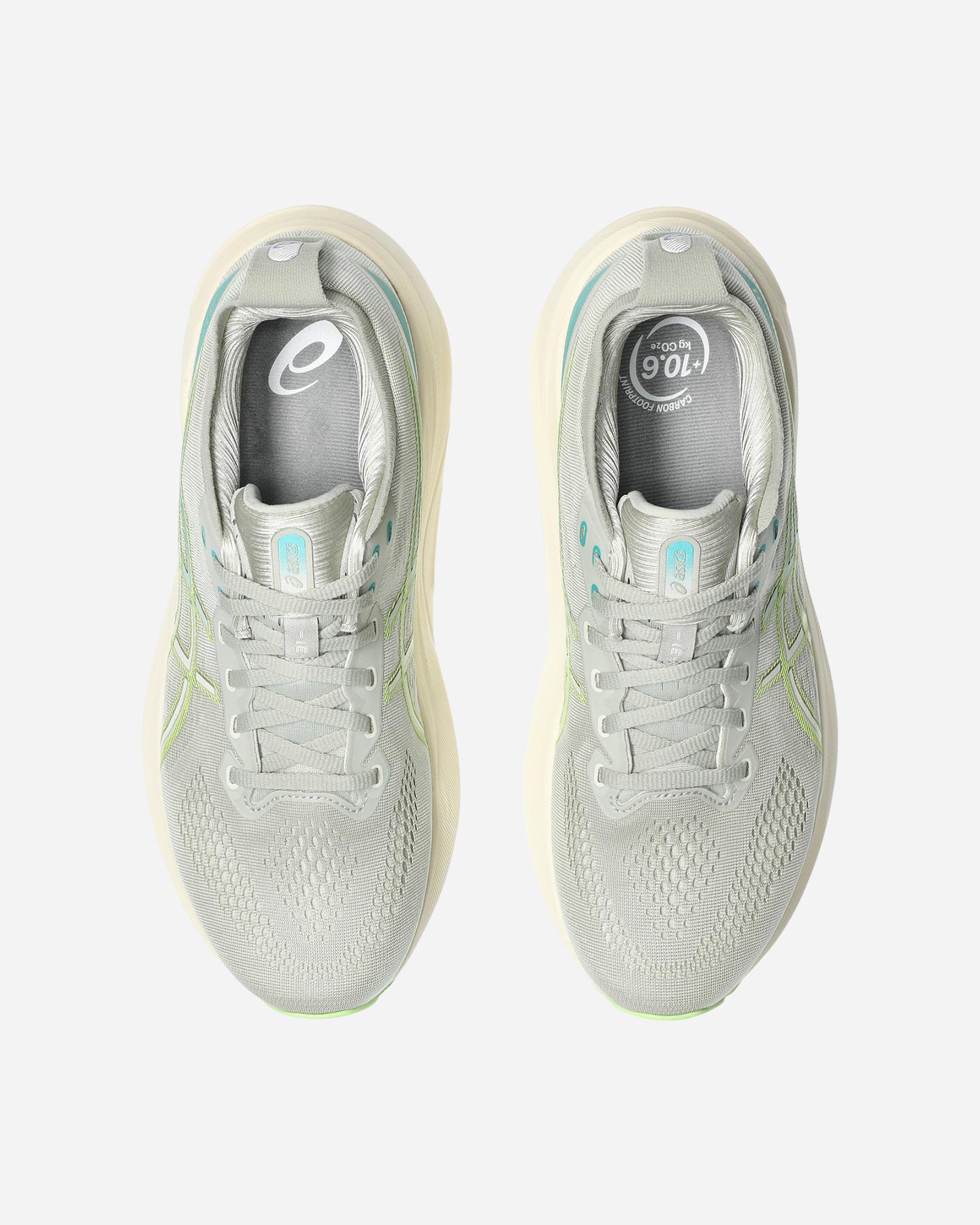 Buty do biegania Asics Gel Kayano 31 M 1011B867-023