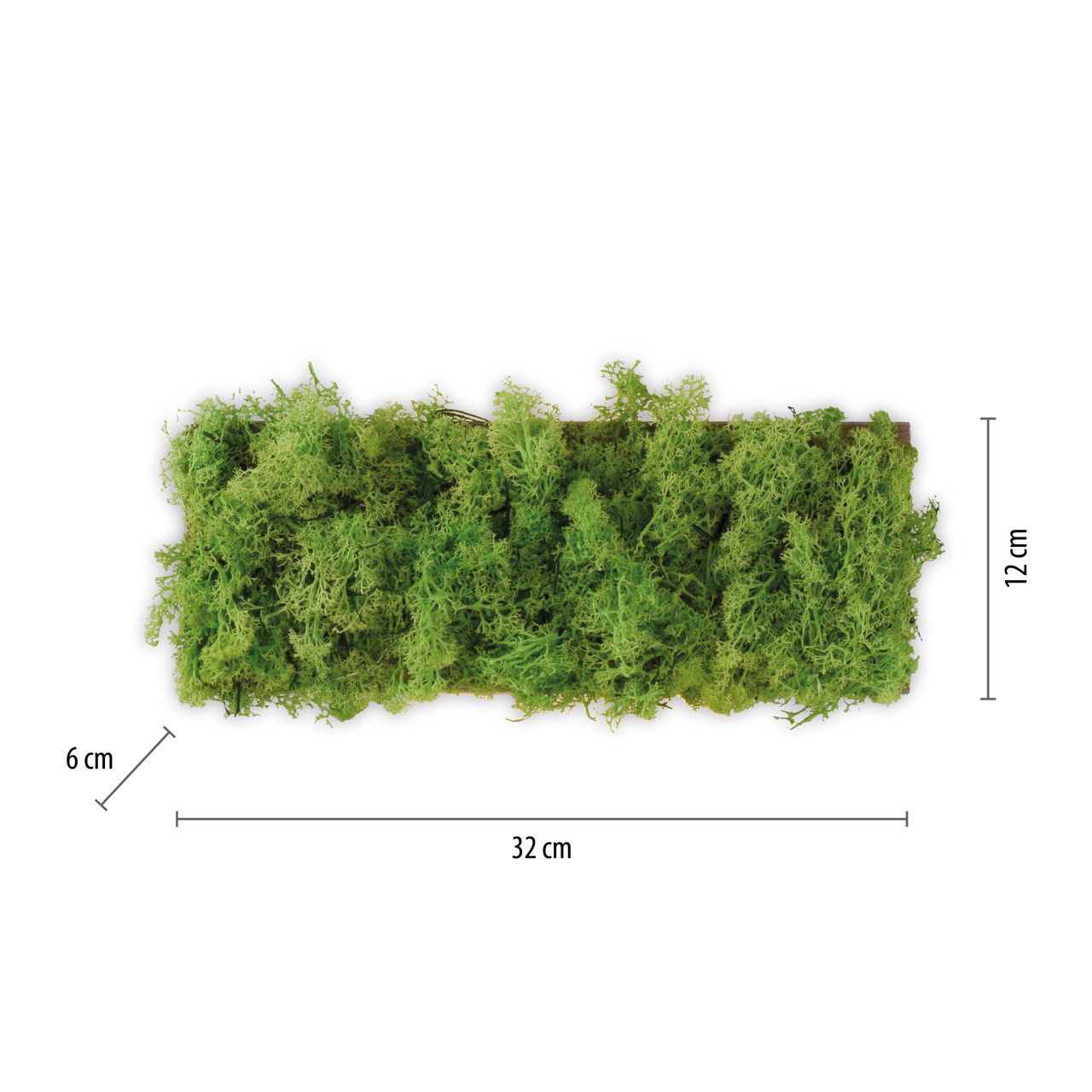 JUST LIGHT LED Wandleuchte GREEN CARLO, mit echtem Moos, 3000 K