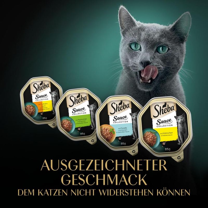 Sparpaket Sheba Varietäten Schälchen 96 x 85 g zu
