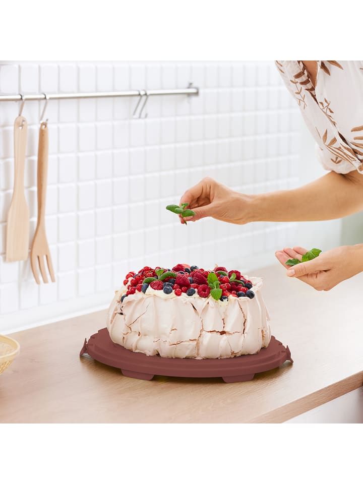 Rotho FRESH Tortenglocke hoch mit Trays in Iron rot günstig kaufen onesize