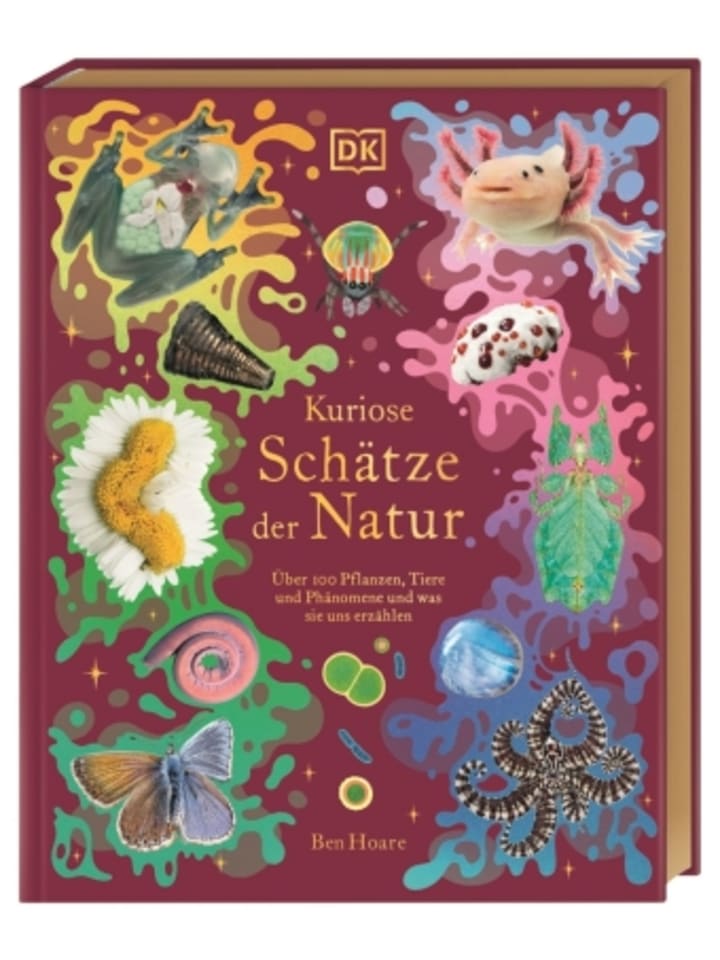 Dorling Kindersley  Buch - Kuriose Schätze der Natur günstig kaufen onesize