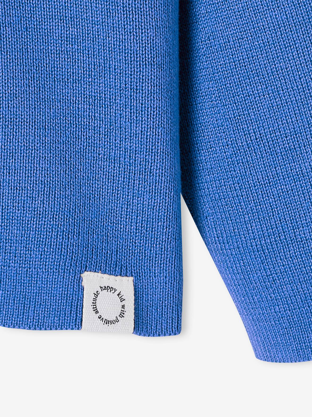 Pull à capuche garçon bleu