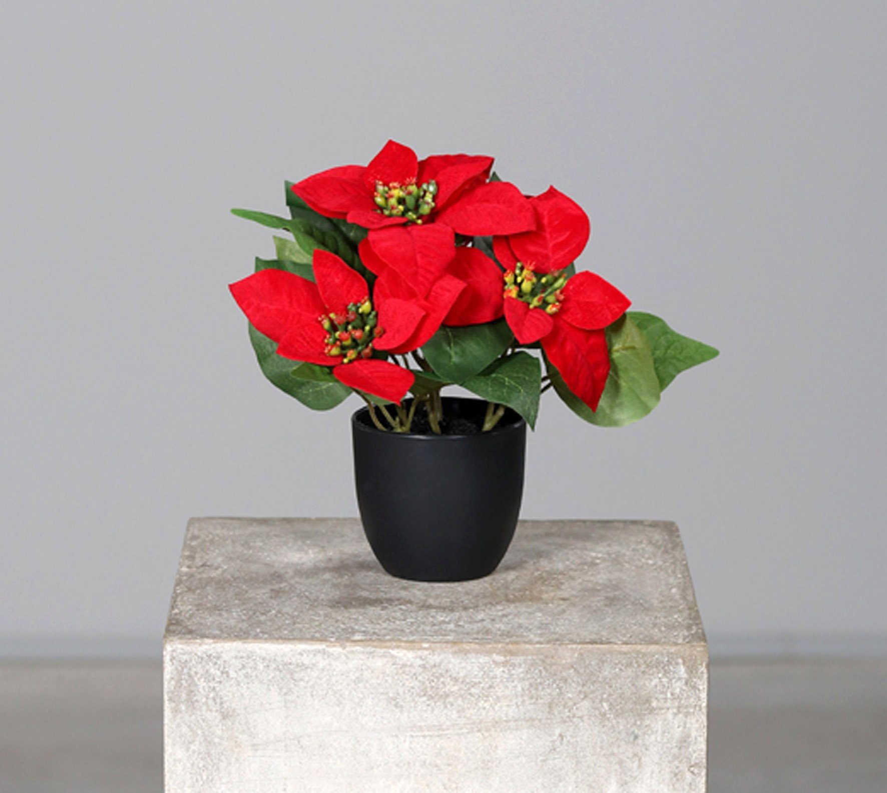 Winterliche Kunstpflanze Künstlicher Weihnachtsstern im Blumentopf klein Poinsettia, Spetebo, Höhe 22 cm, Poinsettia in naturgetreuer Nachbildung