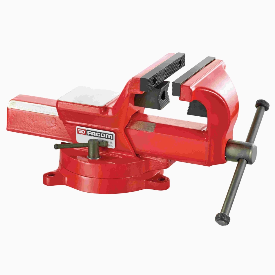 Facom 1224.125 125 mm Schraubstock für Industrie und Instandhaltung, 360° drehbar