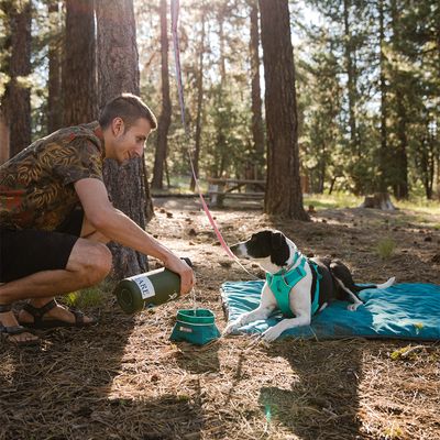 Ruffwear Front Range Hundegeschirr, Aurora Teal