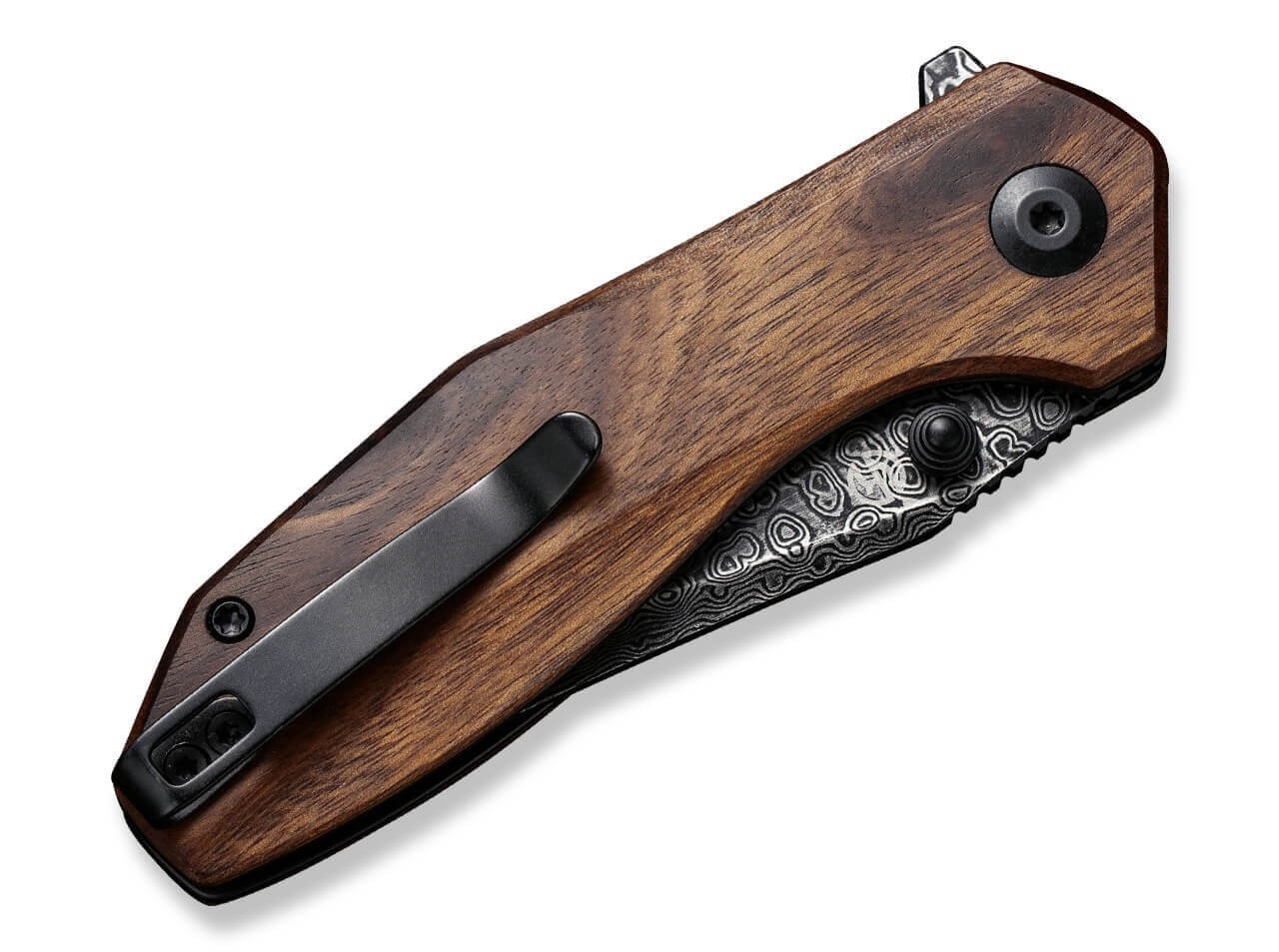 ODD 22 Cuibourtia Damascus