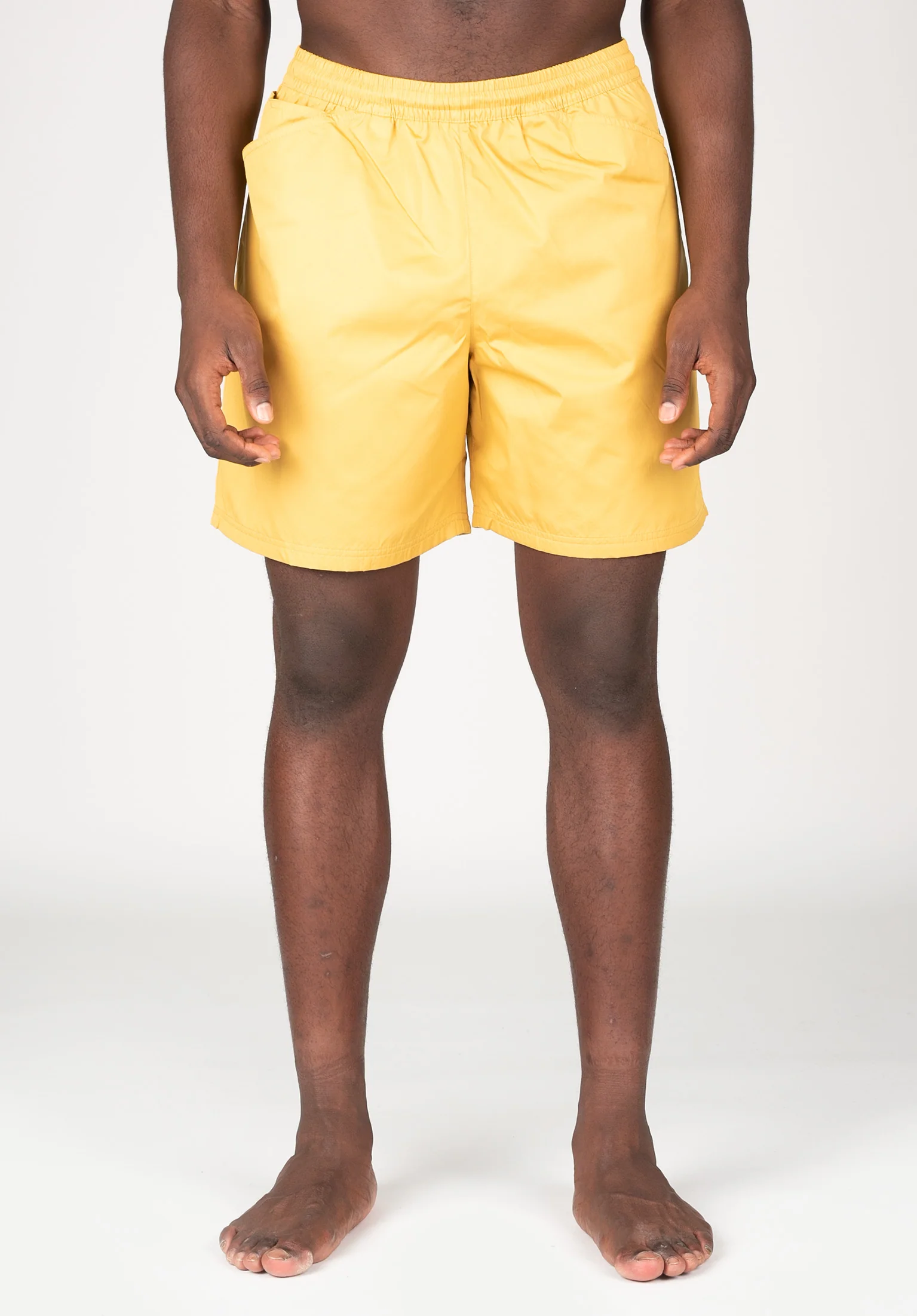 Novelty Chino Short