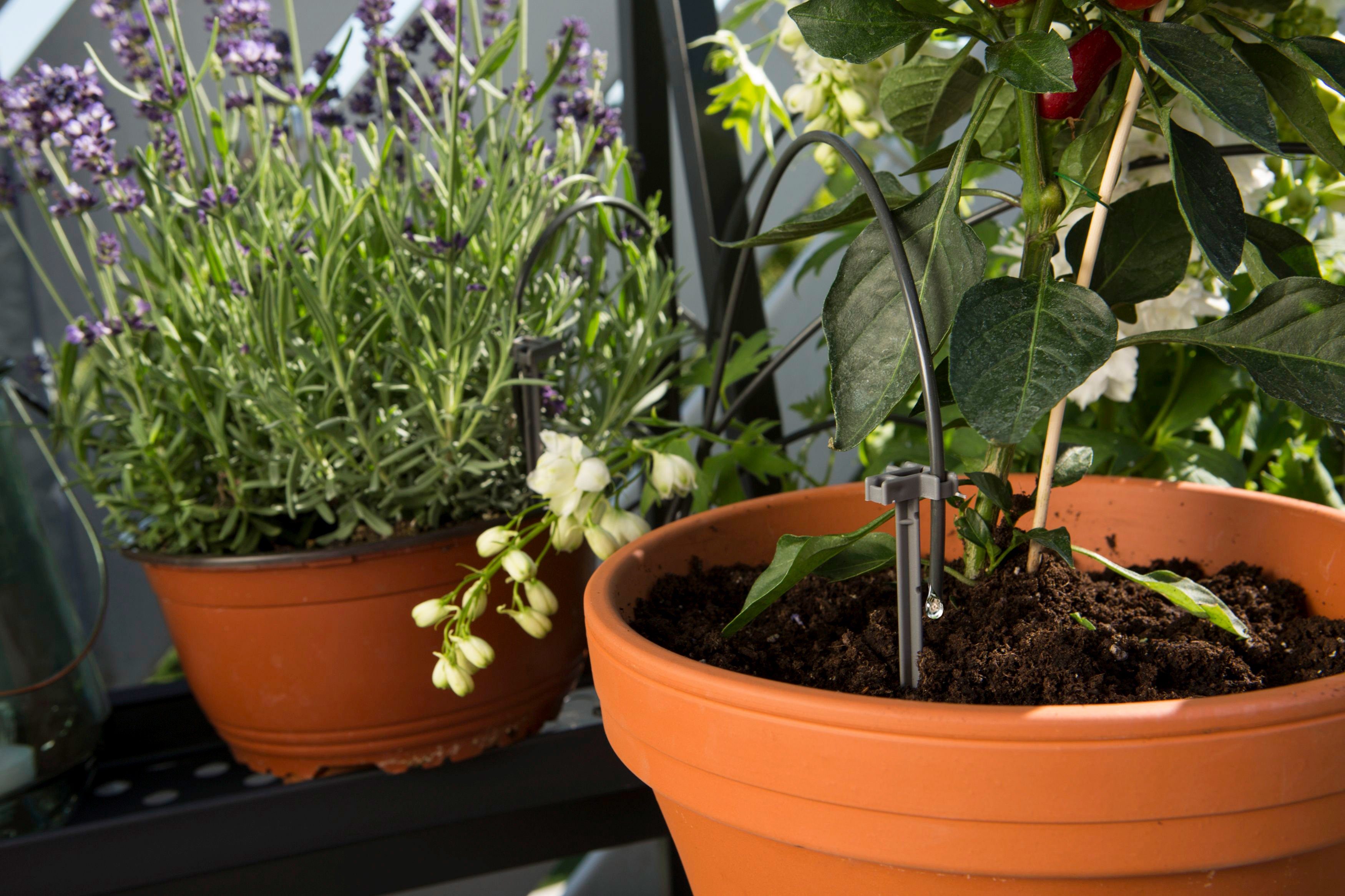 GARDENA Bewässerungssteuerung city gardening, 1265-20