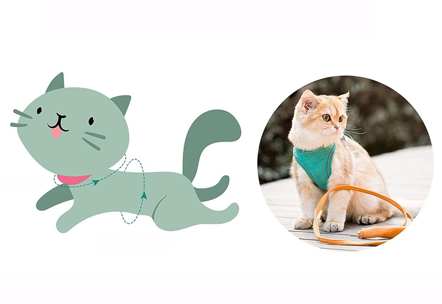 EBUY Führleine Verstellbares Geschirr für kleine Katzen, Kunstleder (1-tlg)