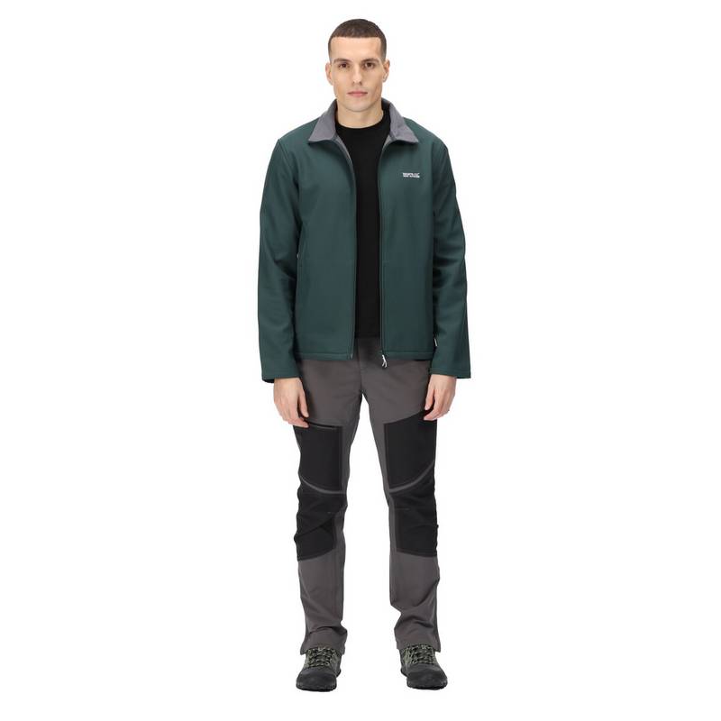 Regatta Cera V Softshelljacke Herren