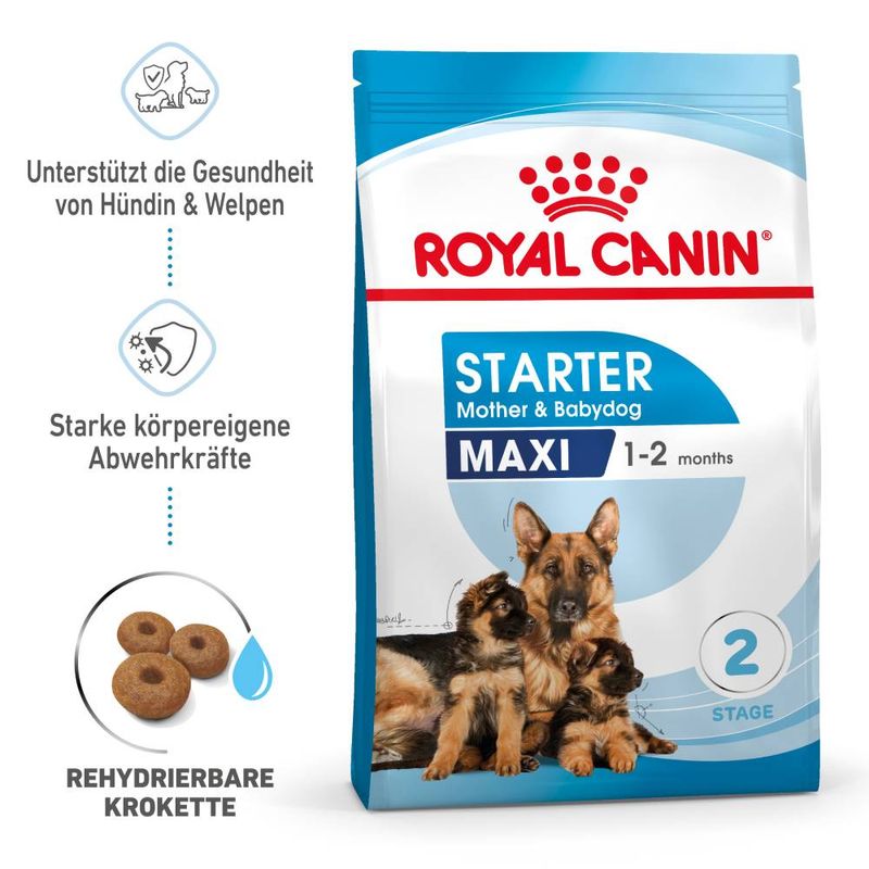 Royal Canin Maxi Starter Mother & Babydog zu TOP-Preisen | bitiba