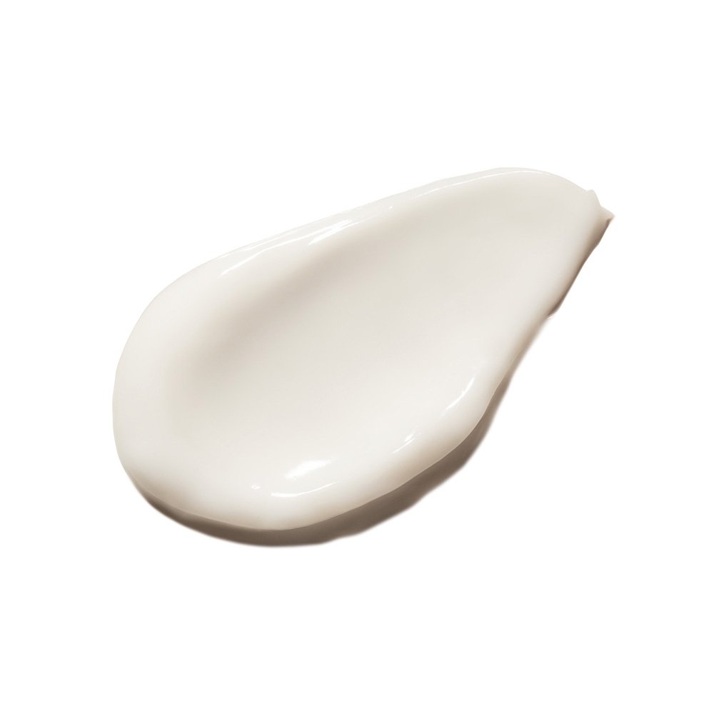 Anne Möller Blockâge 24H Moisturizing Defender Cream