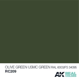 AK Real Colors Olive Green/USMC Green RAL 6003/FS34095 (10ml)