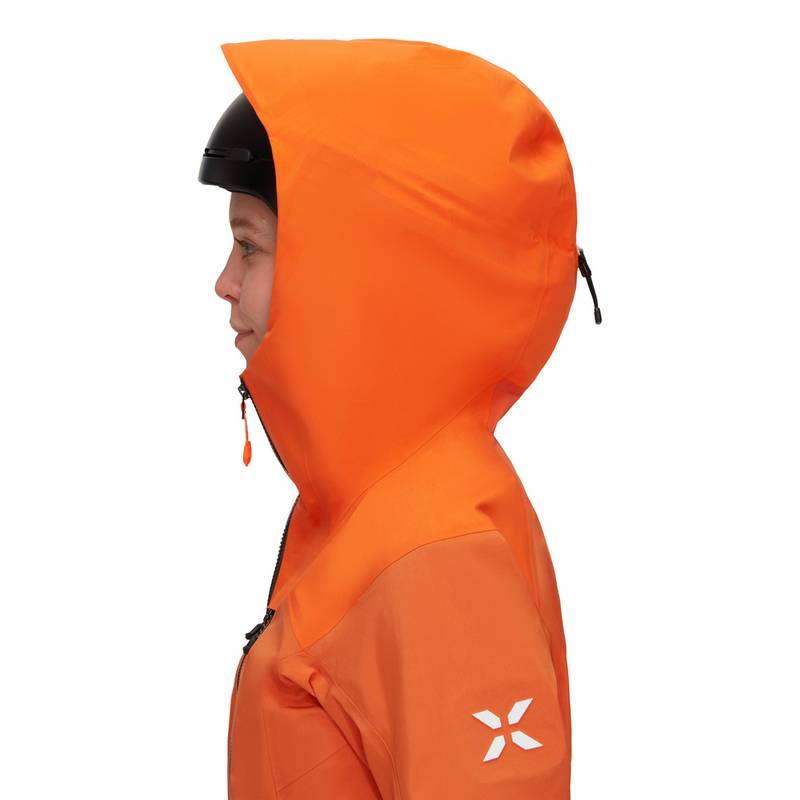 Mammut Eiger Free Pro Hooded Hardshelljacke Damen
