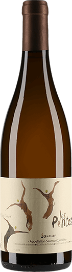 Michel Chevré : Les Pentes du Clos de l'Ecotard 2015
