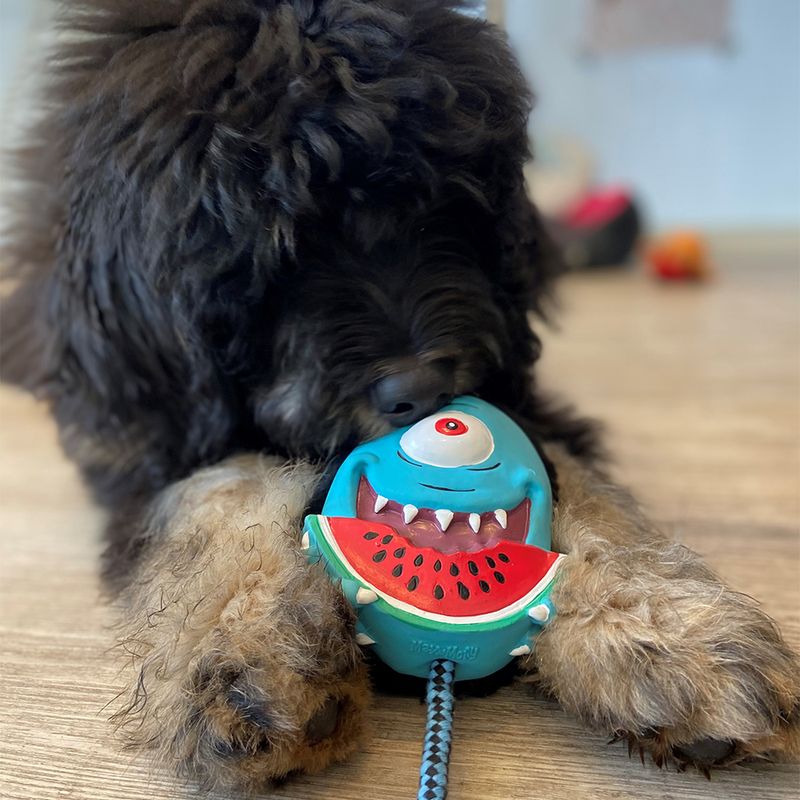 Max & Molly Hundespielzeug Bubba King zu TOP-Preisen