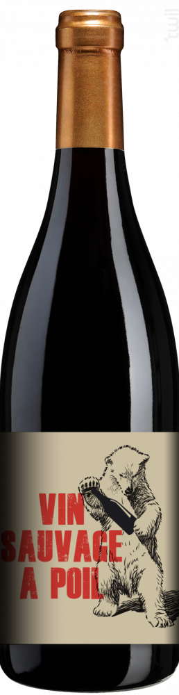 Vin Sauvage à Poil Château de la Terrière Vin Rouge●Régnié 2021 75cl