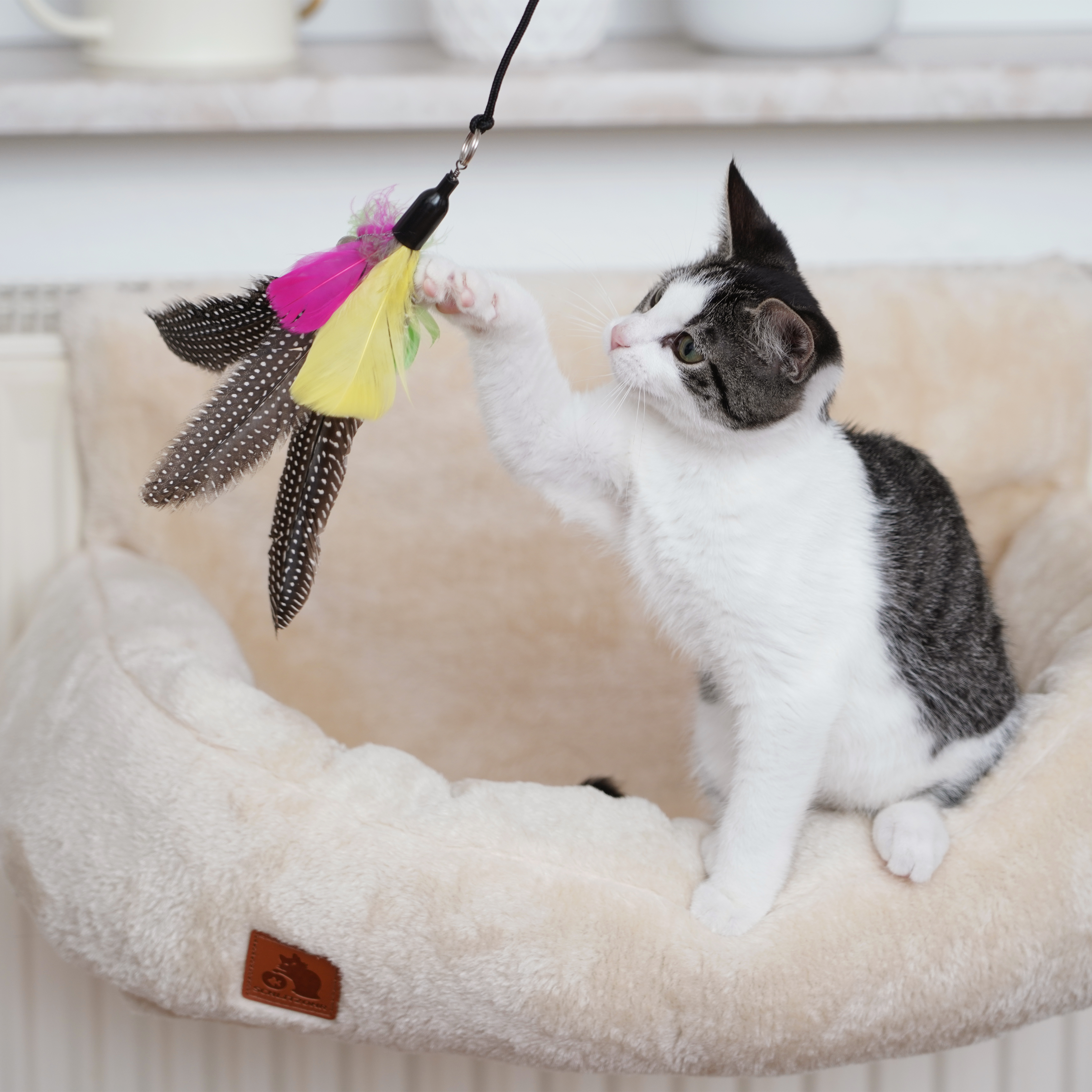 Schlitzohr Katzenangeln Schlitzohr Katzenangel Federanhänger 5x