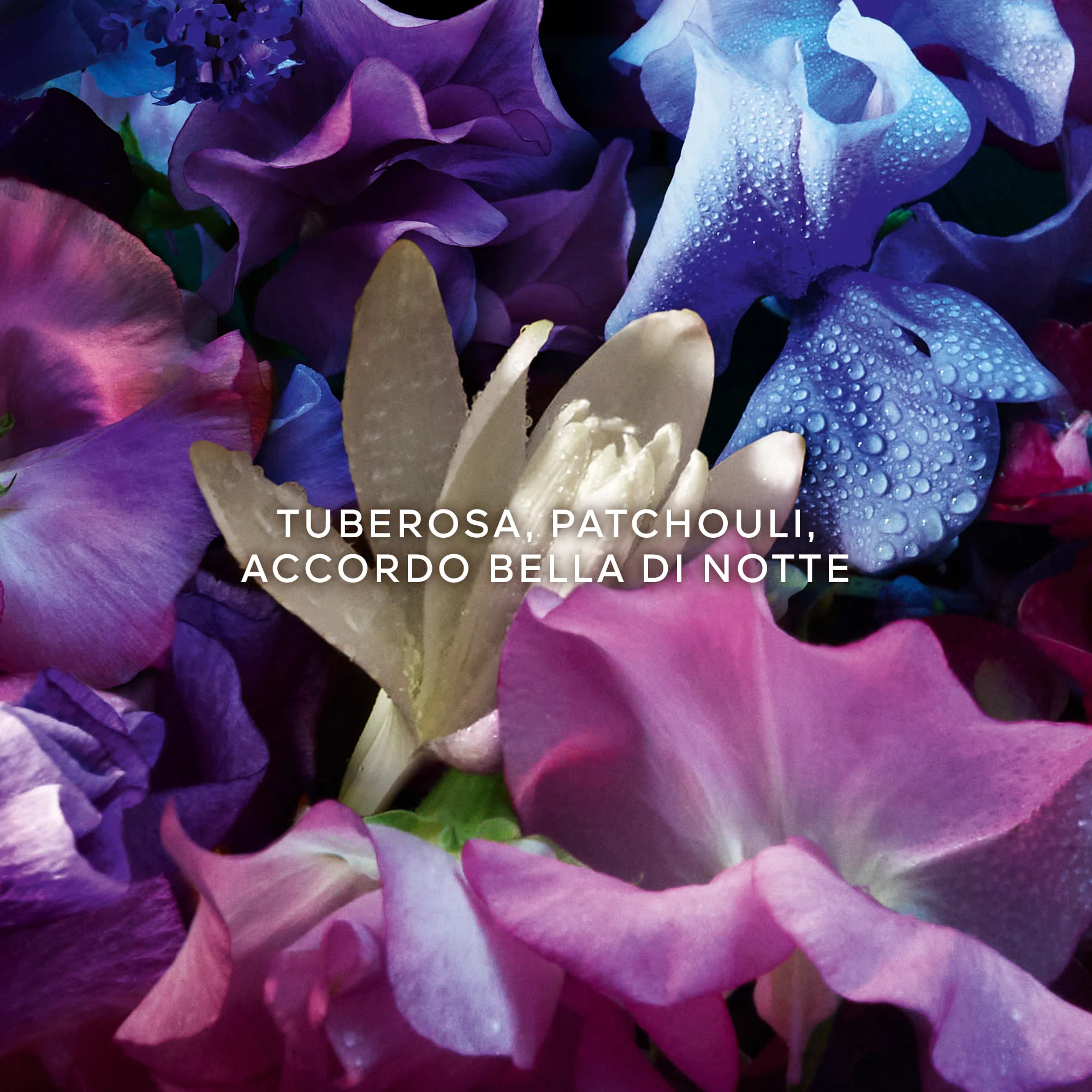 Absolus Allegoria Florabloom - Parfemska voda