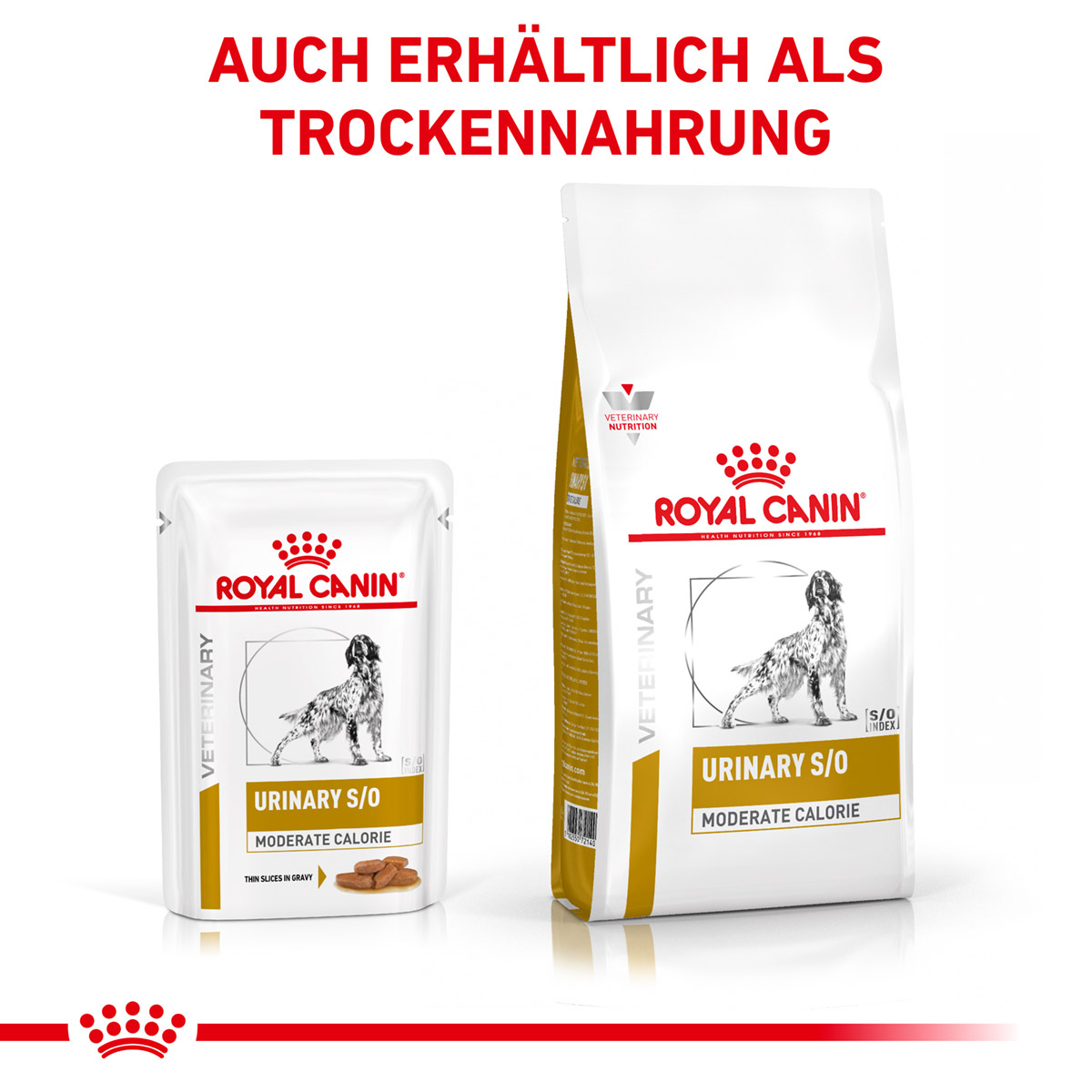 ROYAL CANIN Veterinary URINARY S/O MODERATE CALORIE Nassfutter für Hunde