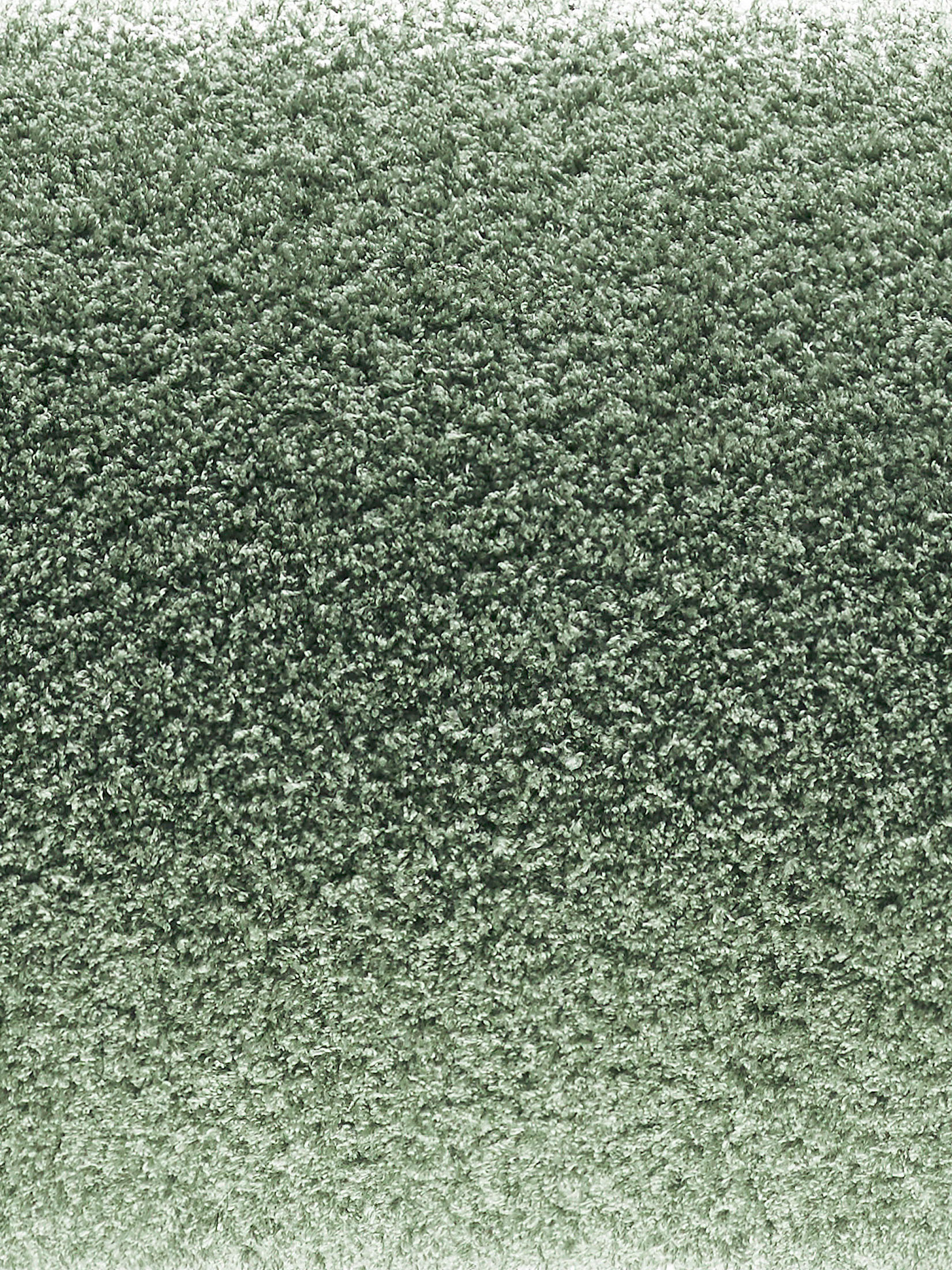 Tenderness Hochflor-Teppich, Salbei