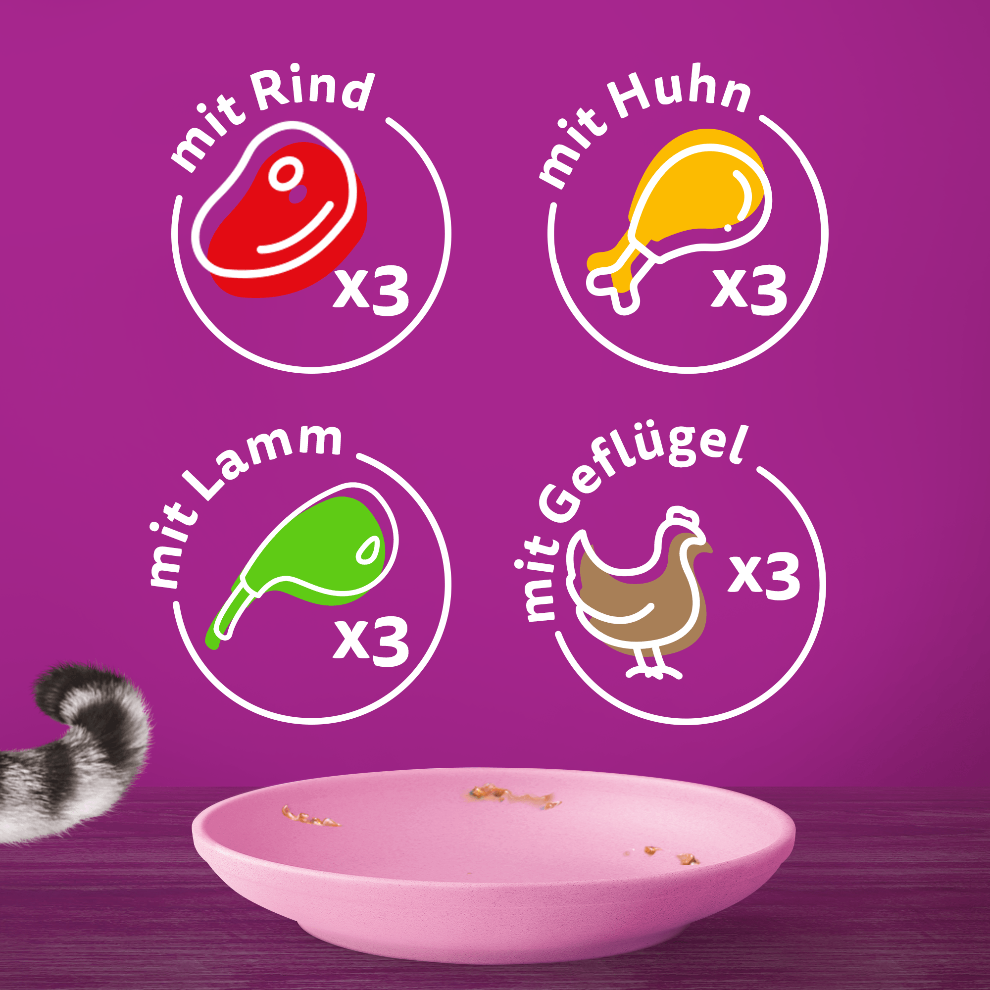 Whiskas Nassfutter Whiskas Multipack Junior Klassische Auswahl in Sauce 12 x 85g
