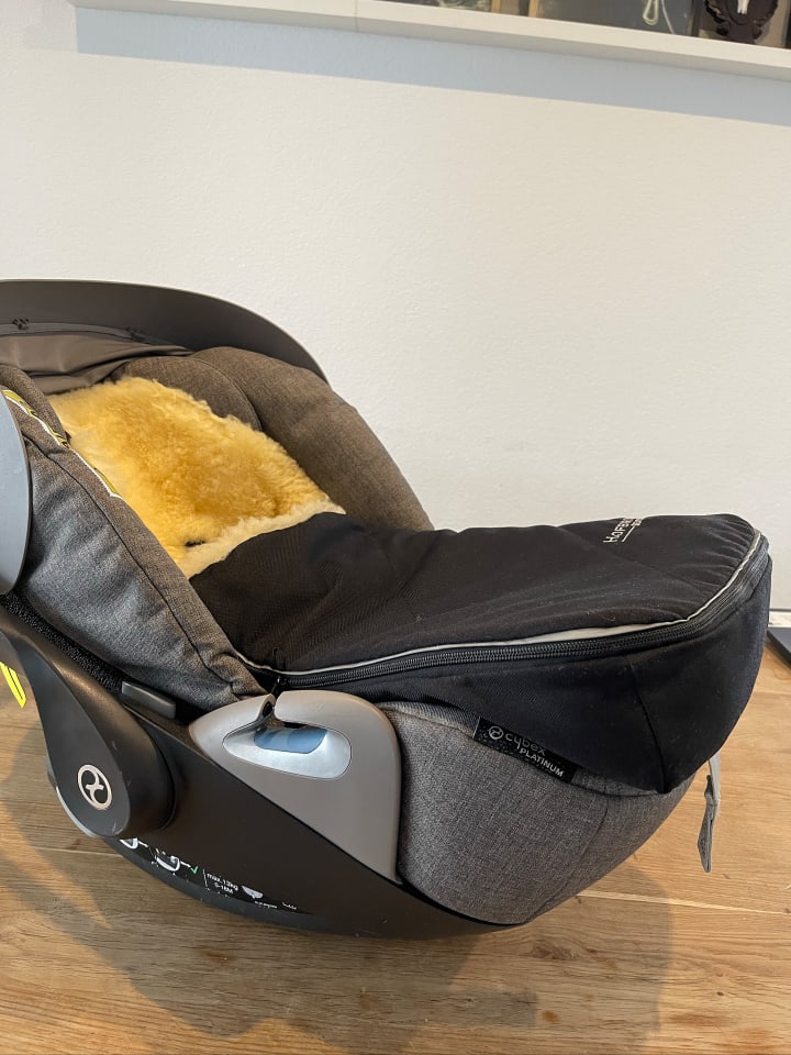 Hofbrucker Autoschalen Fußsack Maxi in schwarz günstig kaufen onesize