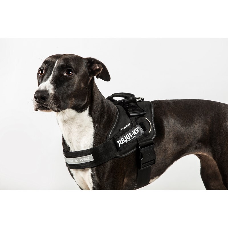 JULIUS-K9 Hundegeschirre JULIUS-K9 IDC Powergeschirr M