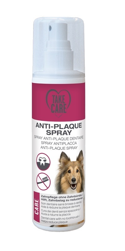 TAKE CARE Zahnpflege TAKE CARE Anti-Plaque Spray 125ml